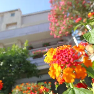 Pejić Apartament Pula