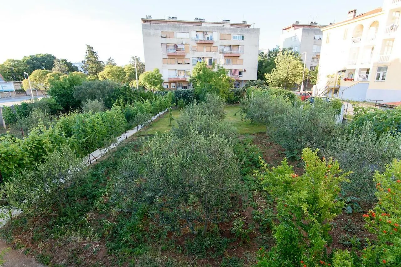 Apartment Relja Zadar